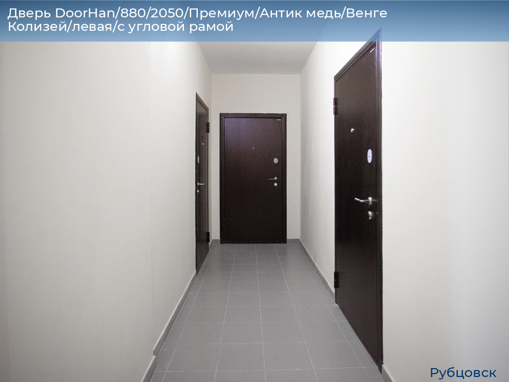 Дверь DoorHan/880/2050/Премиум/Антик медь/Венге Колизей/левая/с угловой рамой, rubtsovsk.doorhan.ru