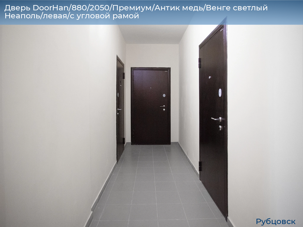 Дверь DoorHan/880/2050/Премиум/Антик медь/Венге светлый Неаполь/левая/с угловой рамой, rubtsovsk.doorhan.ru