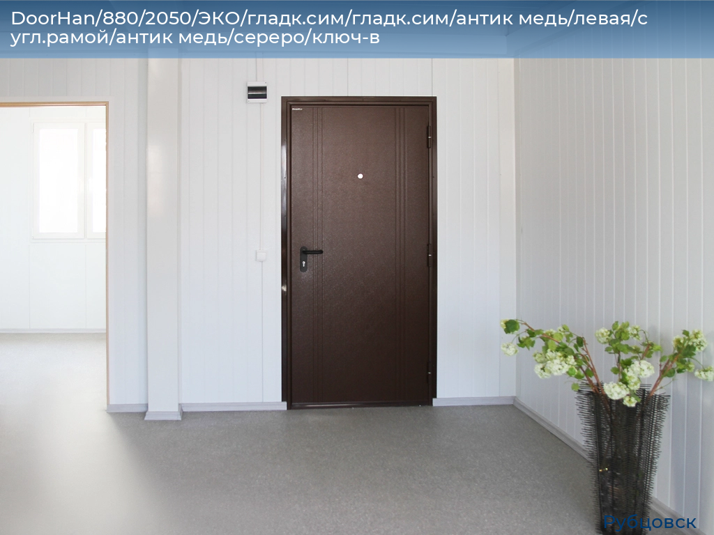 DoorHan/880/2050/ЭКО/гладк.сим/гладк.сим/антик медь/левая/с угл.рамой/антик медь/сереро/ключ-в, rubtsovsk.doorhan.ru