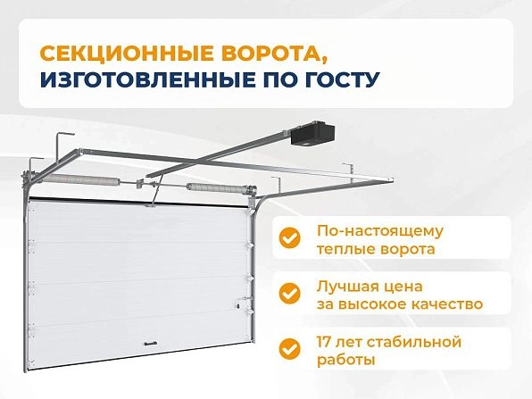 Cекционные ворота 3100х2950 мм белые DoorHan RSD02, rubtsovsk.doorhan.ru